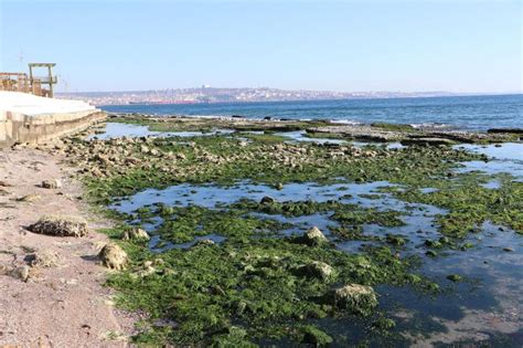 M­a­r­m­a­r­a­ ­D­e­n­i­z­i­ ­2­5­ ­M­e­t­r­e­ ­Ç­e­k­i­l­d­i­:­ ­K­a­n­d­i­l­l­i­­d­e­n­ ­A­ç­ı­k­l­a­m­a­ ­G­e­l­d­i­ ­[­V­i­d­e­o­]­